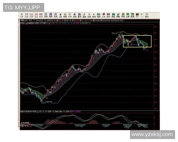 LNG在S15电竞总决赛城市赛中的速度表现分析与点评